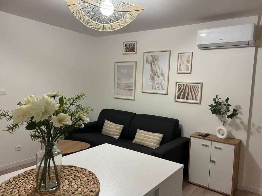 *La Pampa, Studio, Parking, Clim, Hopitaux/Fac* 蒙彼利埃 外观 照片